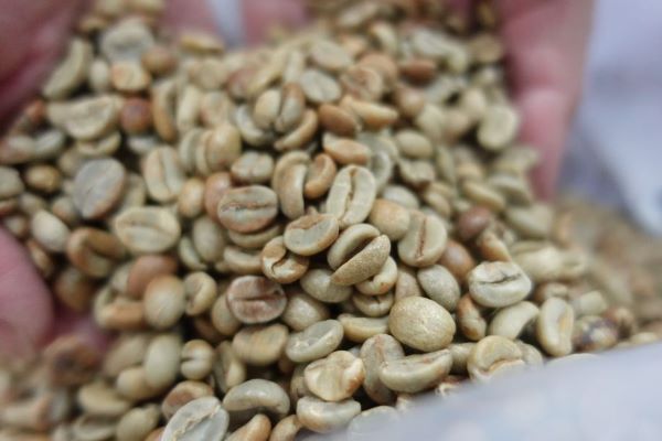 Costa Rica West Valley Natural Coffee