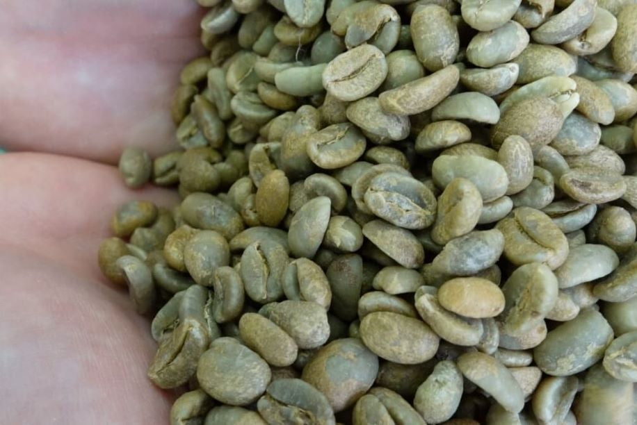 咖啡豆處理新方法 — 「厭氧」