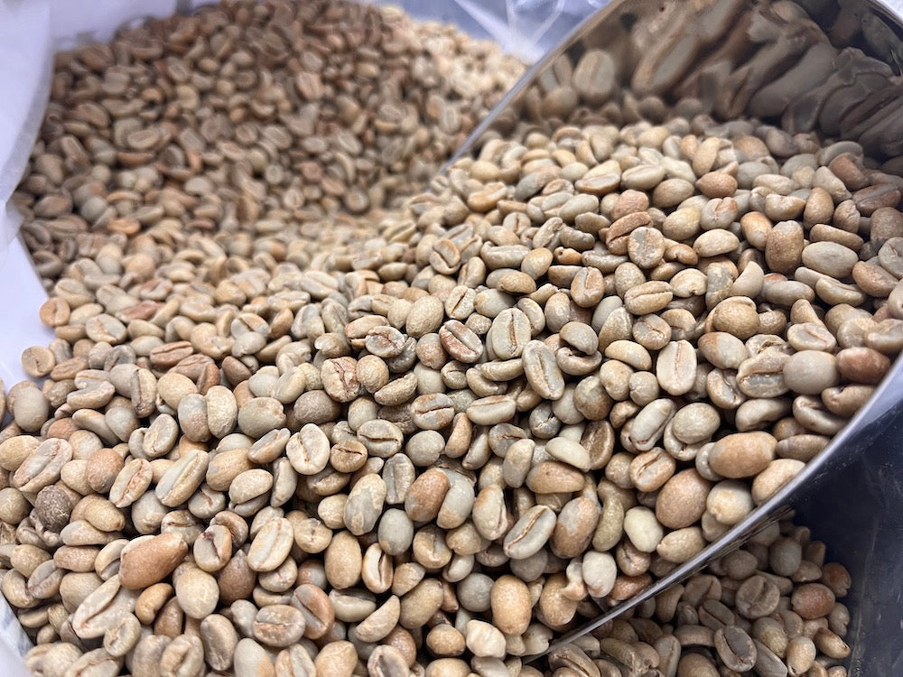 Dostingiz va onasi bilan porno tomosha qiling Radmila Schegoleva porno