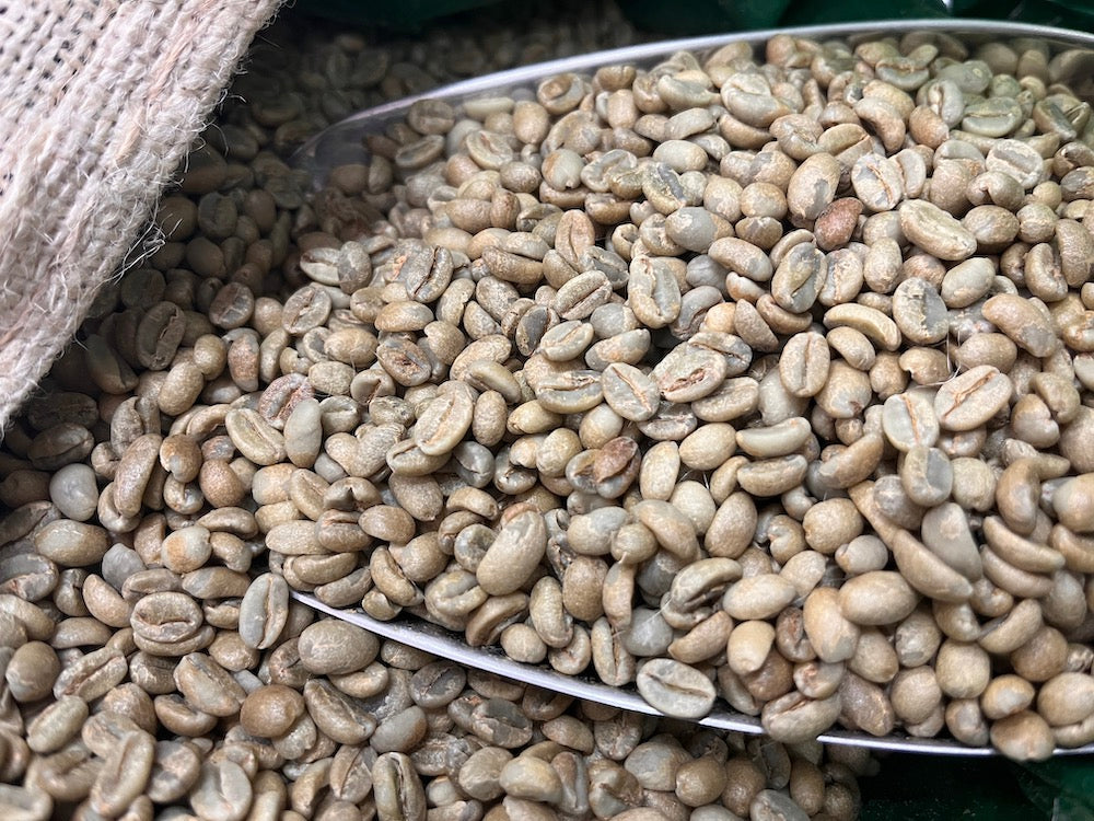 Ethiopia Yirgacheffe Beloya coffee