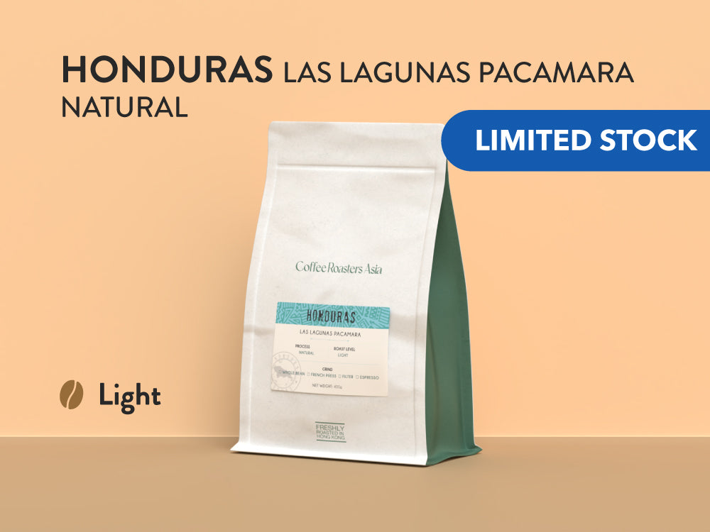 Honduras Las Lagunas Pacamara Natural Coffee, 洪都拉斯 拉巴斯省 帕卡瑪拉種 日曬咖啡