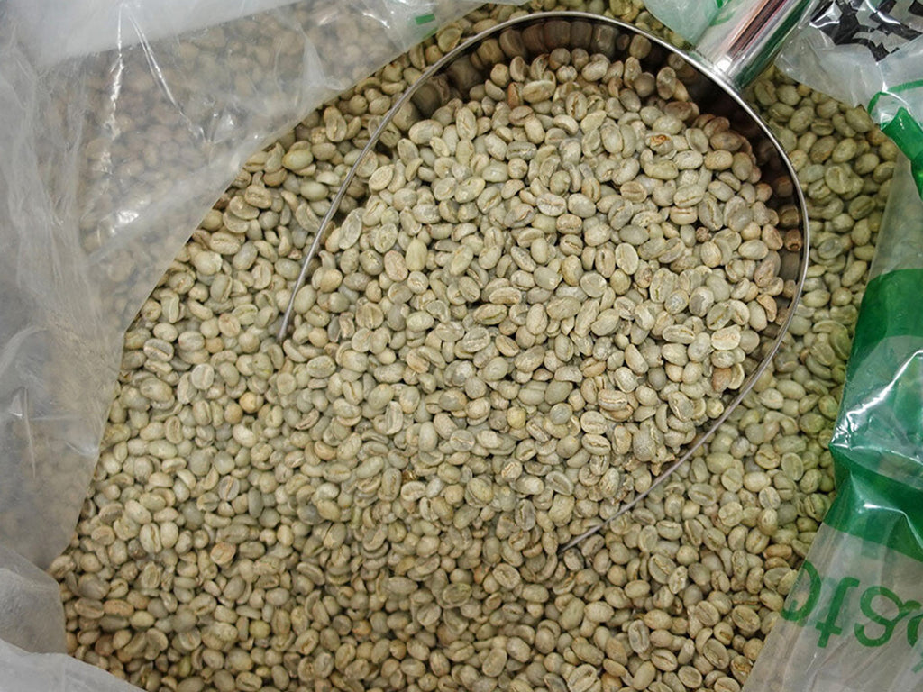 coffee green bean, 咖啡生豆, 雲南咖啡豆