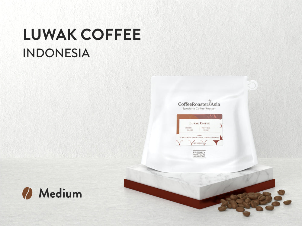Luwak Coffee Indonesia