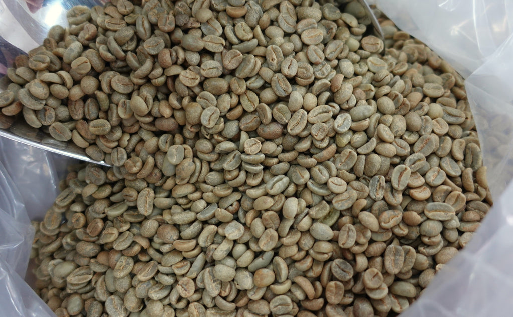 盧旺達咖啡豆, 蜜處理, green bean, 咖啡生豆