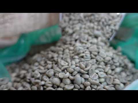 Peru green bean, 秘魯咖啡，咖啡生豆