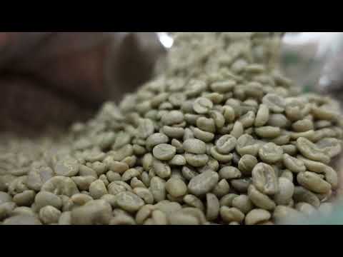 burundi coffee green bean, green bean